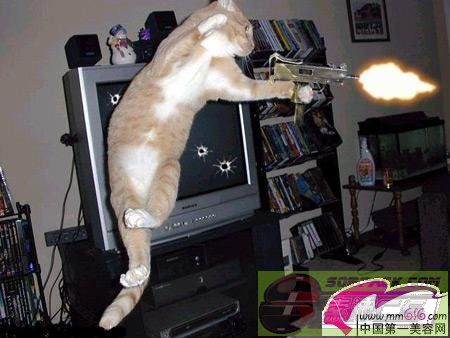 ͼƬ��������´��ڴ򿪲鿴