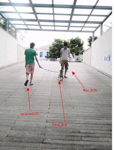 dvubb 图片点击可在新窗口打开查看