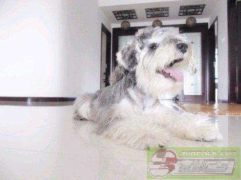 dvubb 图片点击可在新窗口打开查看