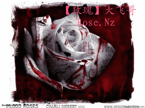 ͼƬ��������´��ڴ򿪲鿴