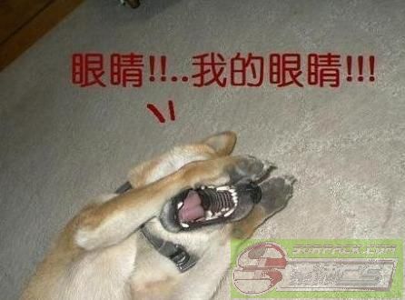 ͼƬ��������´��ڴ򿪲鿴