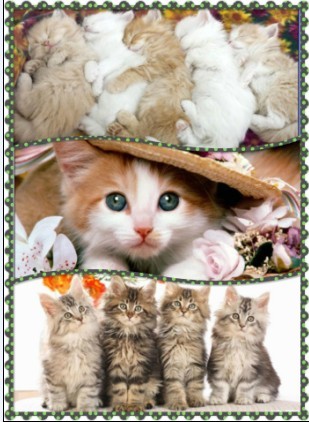 ͼƬ��������´��ڴ򿪲鿴