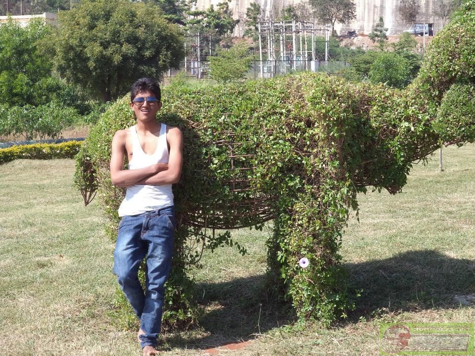 dvubb 图片点击可在新窗口打开查看