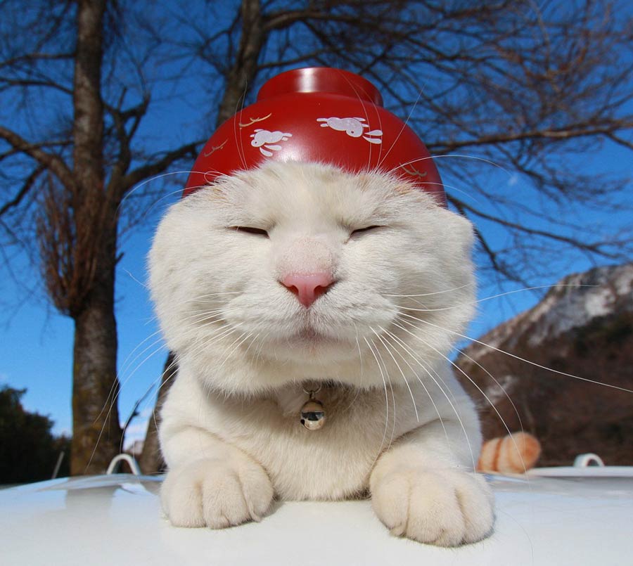 ͼƬ��������´��ڴ򿪲鿴