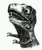 ���ӳ�1ͷ��